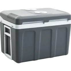 vidaXL Koelbox thermo-elektrisch draagbaar 12 V 230 V E 40 L