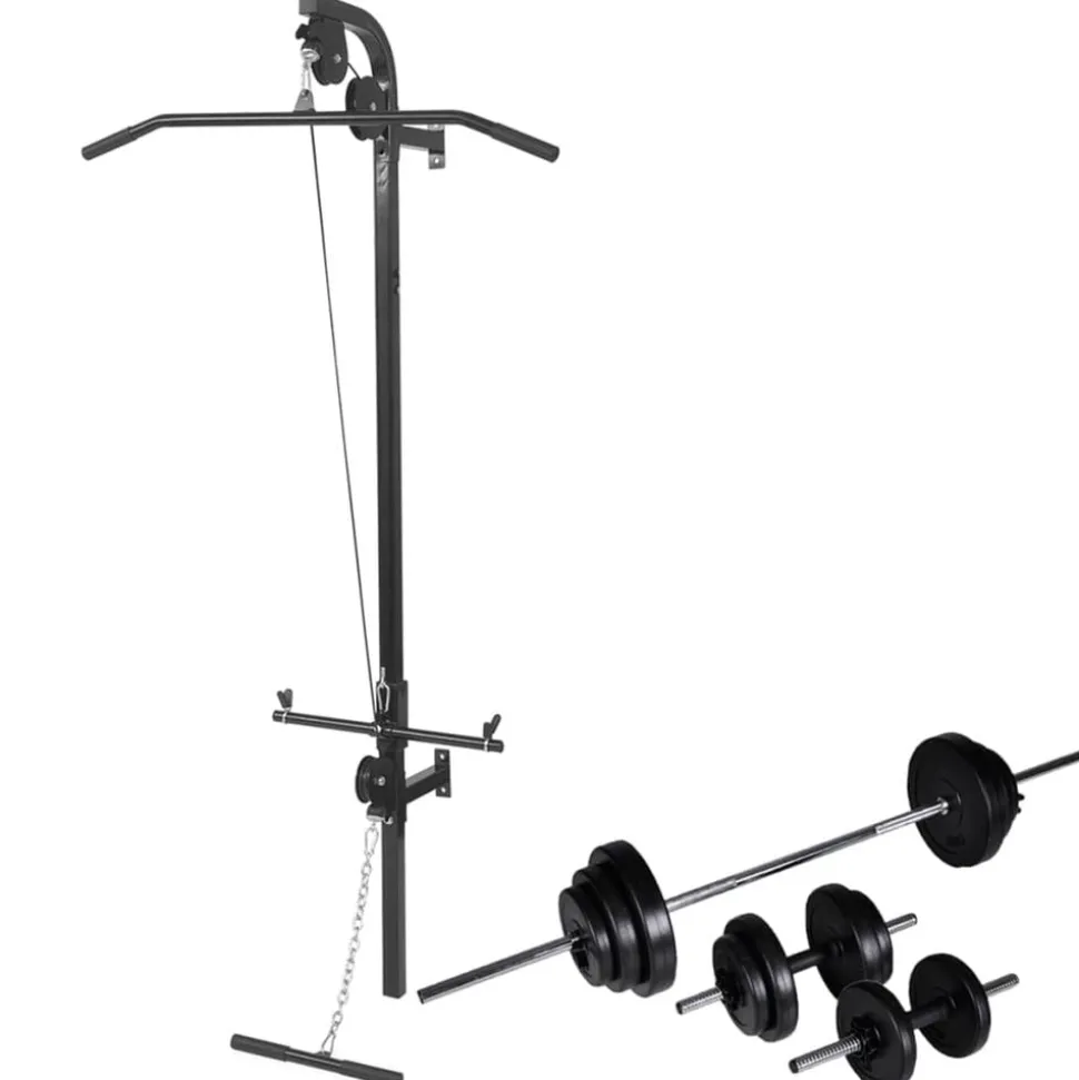 vidaXL Krachttoren voor aan de wand met halterset 30,5 kg