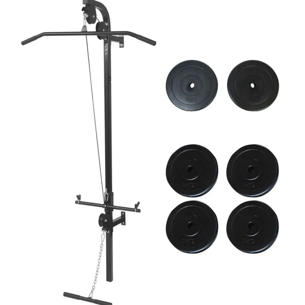 vidaXL Krachttoren voor aan de wand met gewichtsschijven 40 kg
