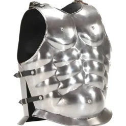 vidaXL Kuras Romeins replica LARP staal zilverkleurig