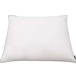 vidaXL Kussens 2 st licht 80x80 cm dons-/verenvulling wit