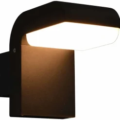 vidaXL LED-buitenwandlamp 9 W ovaal zwart