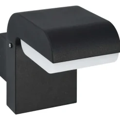 vidaXL LED-buitenwandlamp 9 W ovaal zwart
