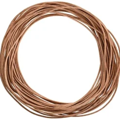 vidaXL Leren Koord Bruin Ø1 mm x 5 m Leer