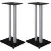 vidaXL Luidsprekerstandaards 2 st 2 pijlers gehard glas zwart zilver