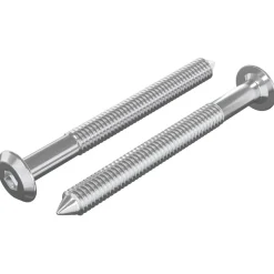vidaXL Meubelschroeven 2 pcs Zilver M6 x 60 mm Staal