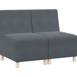 vidaXL Modulaire Bankeenheid Armlos 2 pcs Donkergrijs 55 x 74 x 82 cm