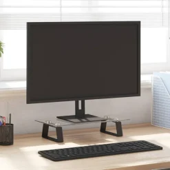 vidaXL Monitorstandaard 40x20x8 cm gehard glas en metaal zwart