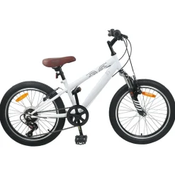 vidaXL Mountainbike 20 Inch 6-Snelheid voor 5-8 jaar oud Wit