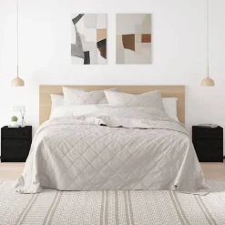 vidaXL Nachtkastjes 2 st 40x31x50 cm massief grenenhout zwart
