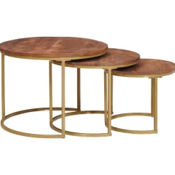 vidaXL Nest Koffietafels 3 pcs Honingbruin Massief mangohout en staal