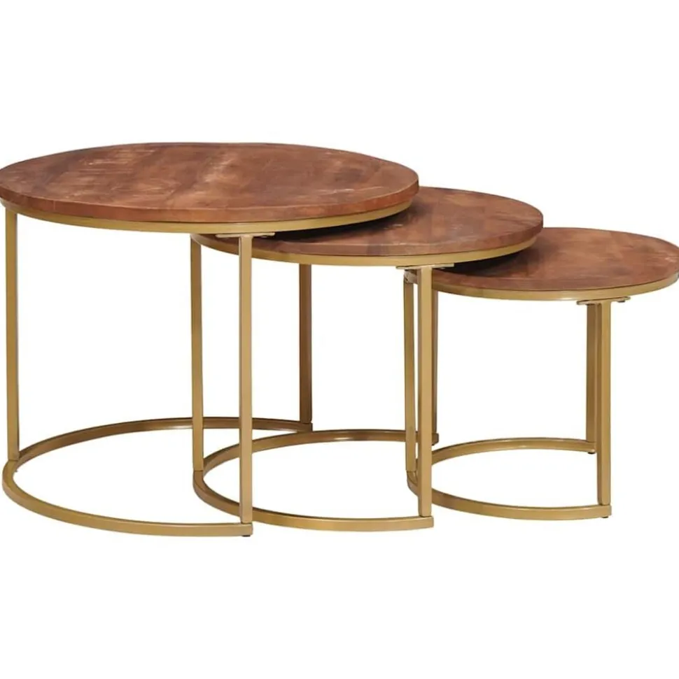 vidaXL Nest Koffietafels 3 pcs Honingbruin Massief mangohout en staal