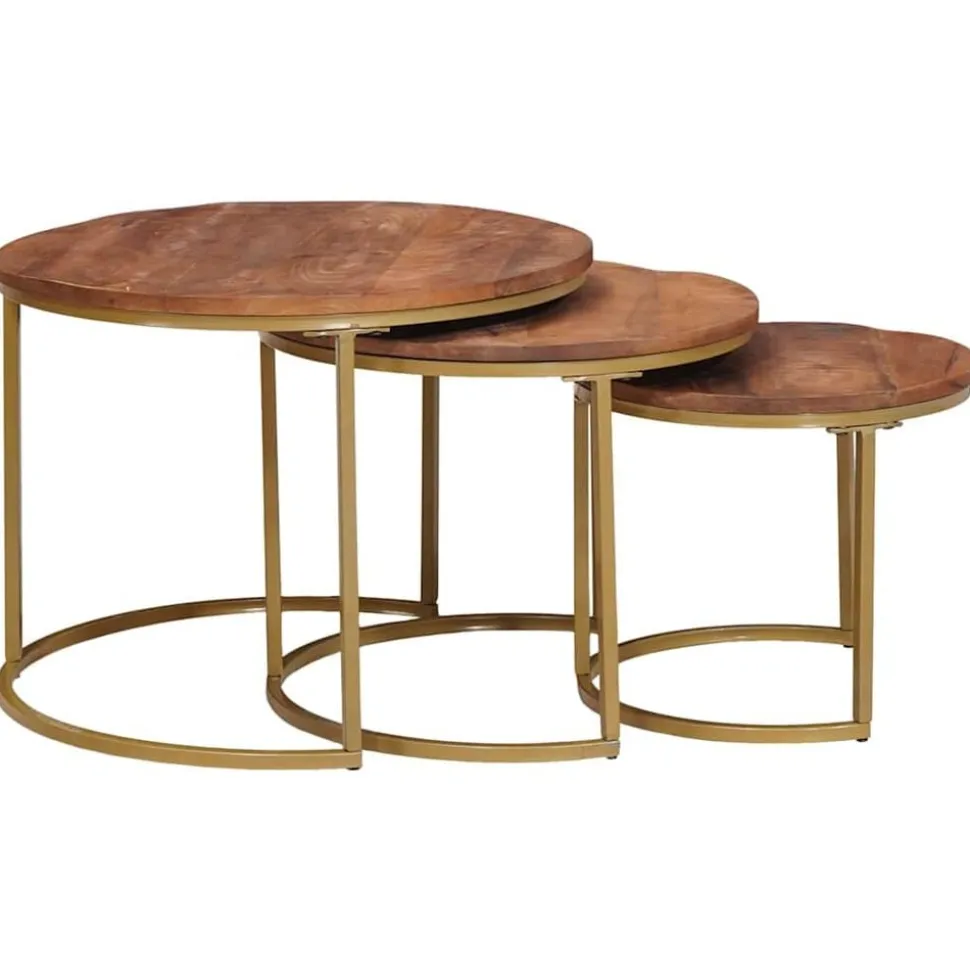 vidaXL Nest Koffietafels 3 pcs Honingbruin Massief mangohout en staal