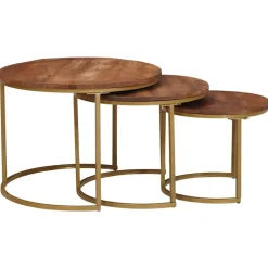 vidaXL Nest Koffietafels 3 pcs Honingbruin Massief mangohout en staal