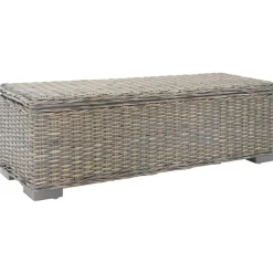 vidaXL Opbergbox 110 cm natuurlijk kubu rattan en mahoniehout grijs