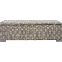 vidaXL Opbergbox 110 cm natuurlijk kubu rattan en mahoniehout grijs