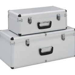 vidaXL Opbergkoffers 2 st aluminium zilverkleurig