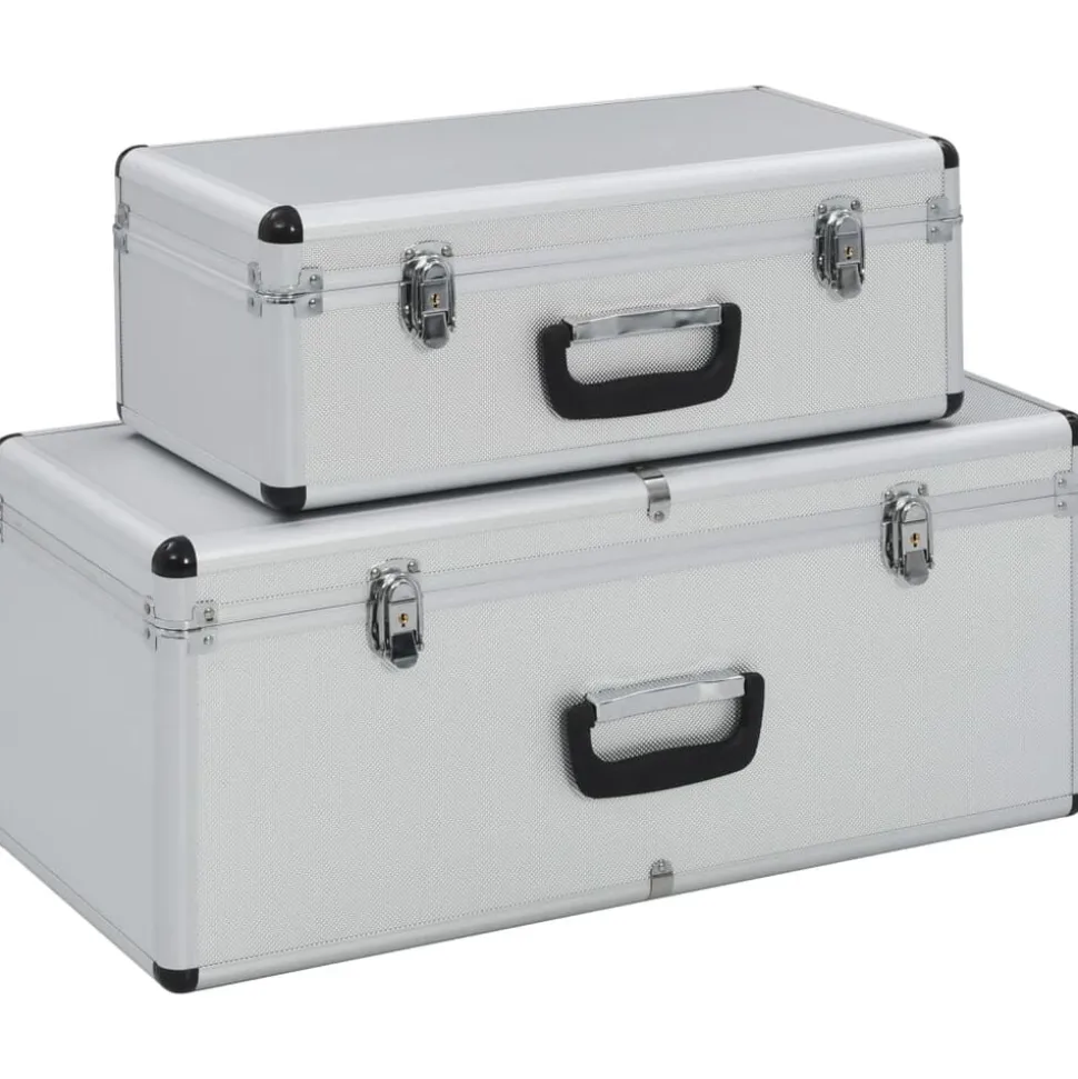vidaXL Opbergkoffers 2 st aluminium zilverkleurig