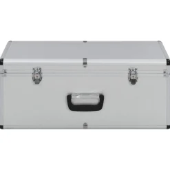 vidaXL Opbergkoffers 2 st aluminium zilverkleurig