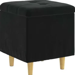 vidaXL Opslagottoman met kussen Zwart 40 x 40 x 45 cm Fluweel