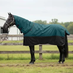 vidaXL Paardendeken Donkergroen en Zwart 75 cm Polyester