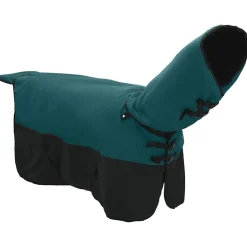 vidaXL Paardendeken Donkergroen en Zwart 75 cm Polyester