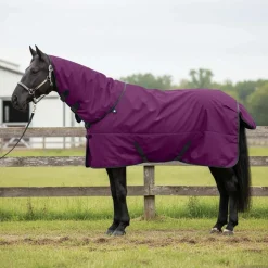 vidaXL Paardendeken Donkergroen en Zwart 75 cm Polyester