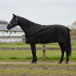 vidaXL Paardendeken Donkergroen en Zwart 75 cm Polyester