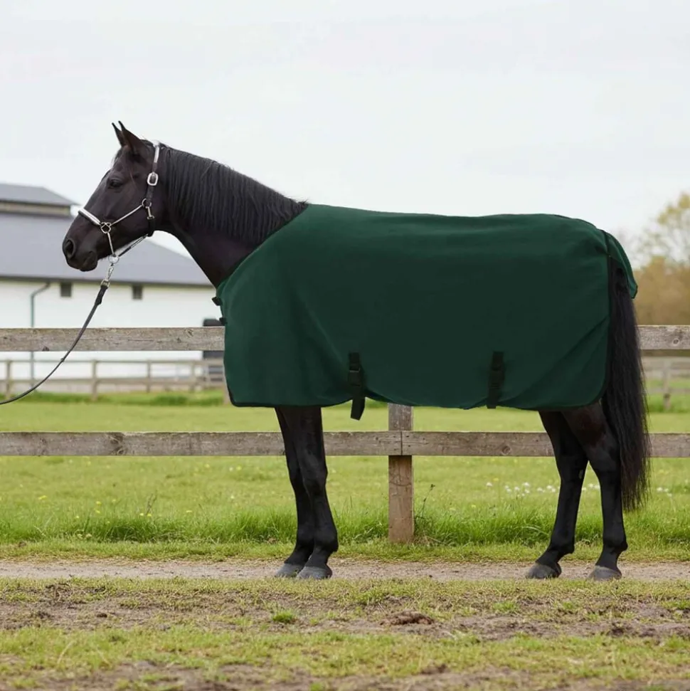 vidaXL Paardendeken Volledig Donkergroen Polyester