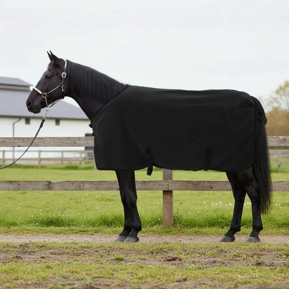 vidaXL Paardendeken Zwart 75 cm Polyester