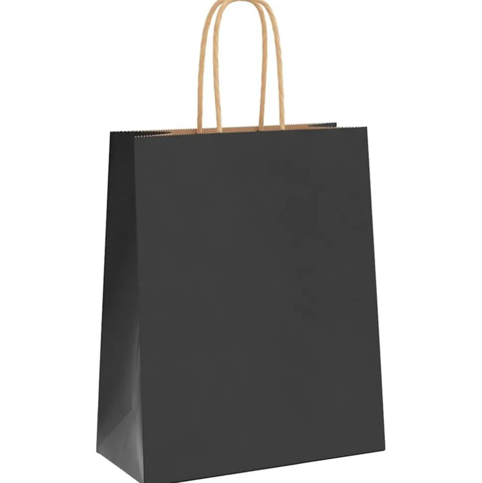 vidaXL Papieren zakken 250 st met hengsels 18x8x22 cm zwart