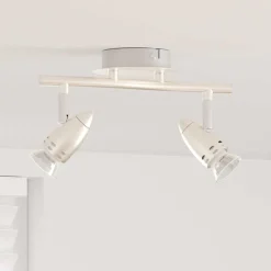 vidaXL Plafondspot met schijnwerpers Nikkel 27 x 10 x 12 cm Metaal