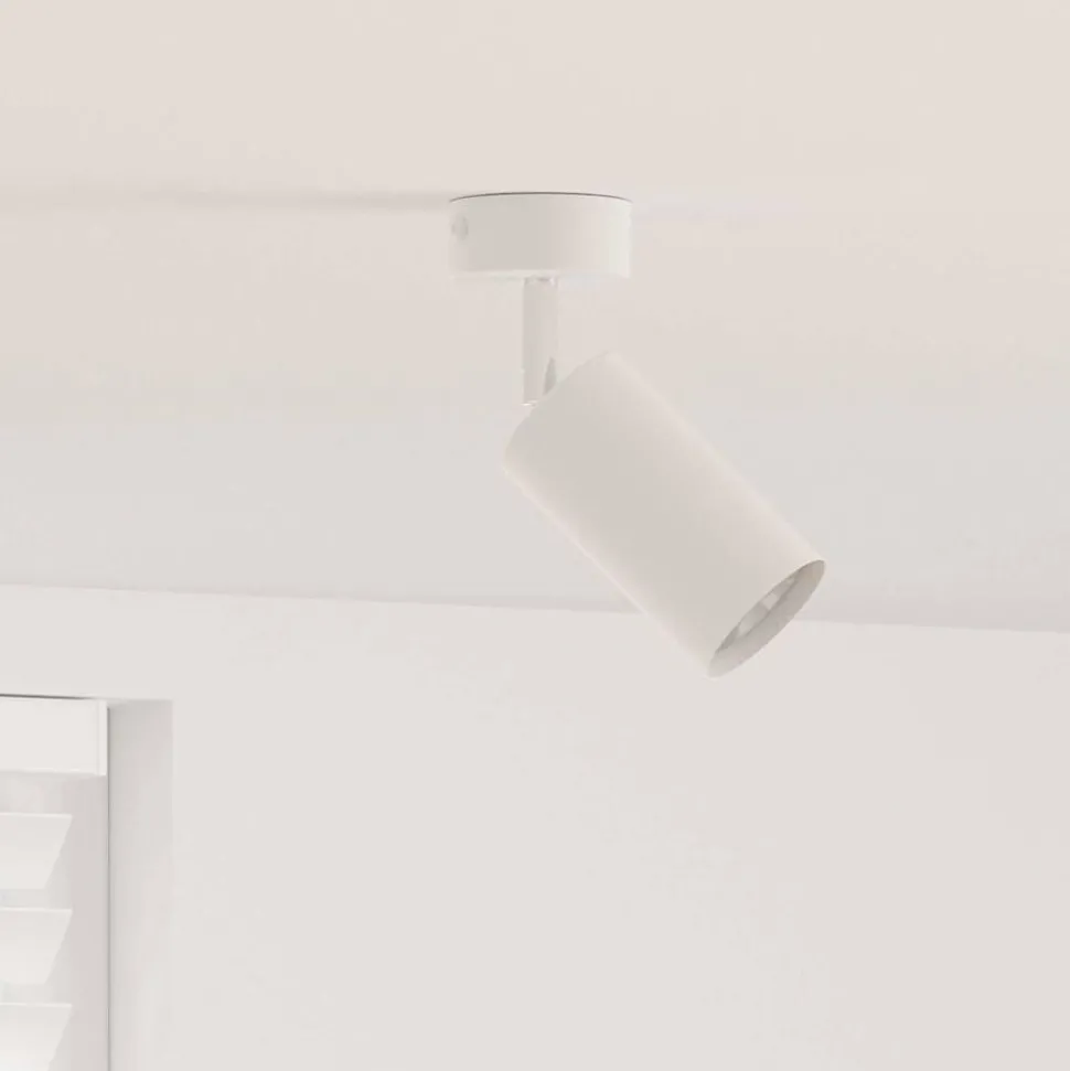 vidaXL Plafondspot met schijnwerpers Wit 6 x 6 x 16 cm Metaal