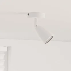 vidaXL Plafondspot met schijnwerpers Wit 25.5 x 8 x 16 cm Metaal