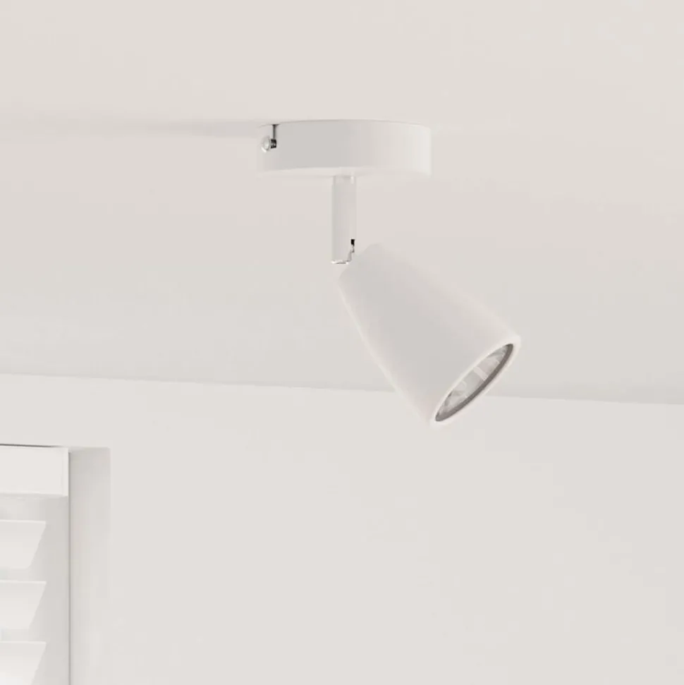 vidaXL Plafondspot met schijnwerpers Wit 25.5 x 8 x 16 cm Metaal