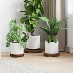 vidaXL Plant Stool 3 pcs Bruin Mahoniehout