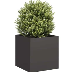 vidaXL Plantenbak 40x40x40 cm koudgewalst staal zwart