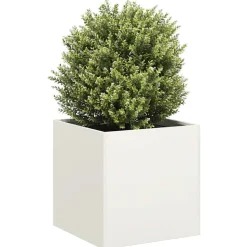 vidaXL Plantenbak 40x40x40 cm koudgewalst staal wit