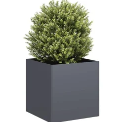 vidaXL Plantenbak 40x40x40 cm koudgewalst staal antracietkleurig