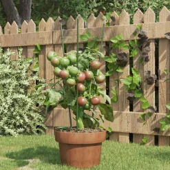 vidaXL Plantensteunen 5 st met 3 ringen 45 cm staal groen