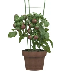 vidaXL Plantensteunen 5 st met 3 ringen 45 cm staal groen
