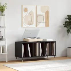 vidaXL Platenkast 100x38x48 cm bewerkt hout zwart