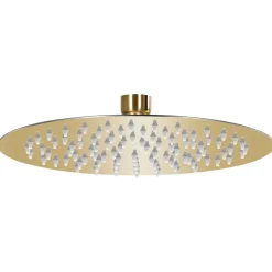 vidaXL Regendouchekop rond 20 cm roestvrij staal goudkleurig