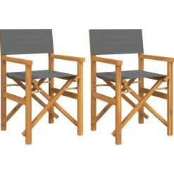 vidaXL Regisseursstoelen inklapbaar 2 st massief teakhout grijs