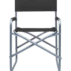 vidaXL Regisseursstoelen 2 st staal zwart