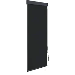 vidaXL Rolgordijn voor buiten 60x250 cm antraciet