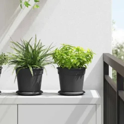 vidaXL Ronde Bloemenschalen 6 pcs Zwart Ø 15,5 x 2 cm Kunststof