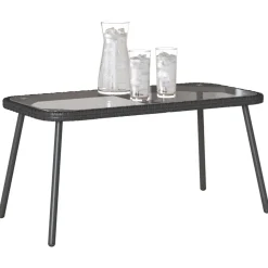 vidaXL Salontafel Zwart 90 x 45 x 43 cm poly rattan
