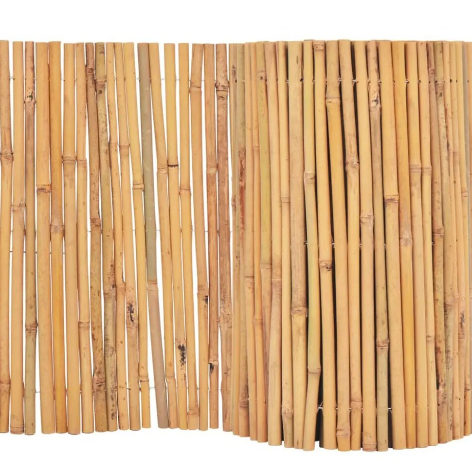 vidaXL Scherm 500x30 cm bamboe