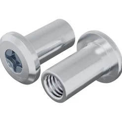 vidaXL Slotmoer 2 pcs Zilver M6 x 15 mm Staal